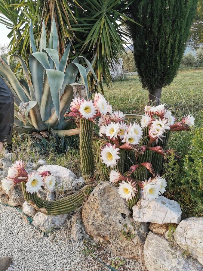 Guidonia Villa Dei Romani - Country House מראה חיצוני תמונה